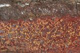 Polished Cruentus Agate Section - Kerrouchen, Morocco #187114-1